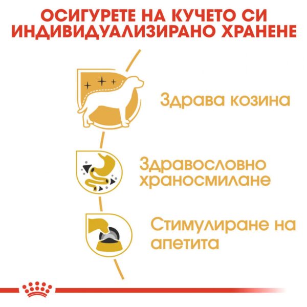 Royal Canin- CHIHUAHUA POUCH - пауч за чихуахуха 85 гр - Image 4