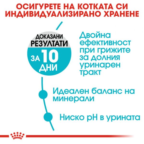 Royal Canin-  Cat CARE URINARY   храна за котка за здрав уринарен тракт - Image 3