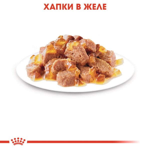 Royal Canin - INSTINCTIVE IN JELLY POUCH - пауч за идеално тегло желе 85гр - Image 2