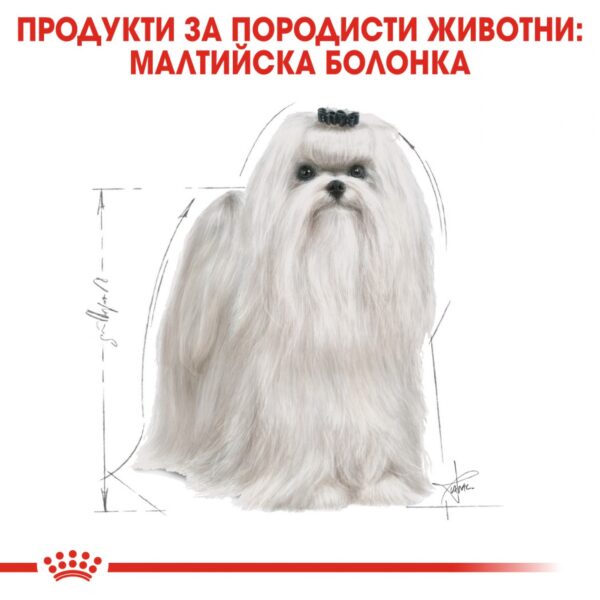 Royal Canin-  MALTESE ADULT храна за малтийски болонки 1,5кг - Image 6