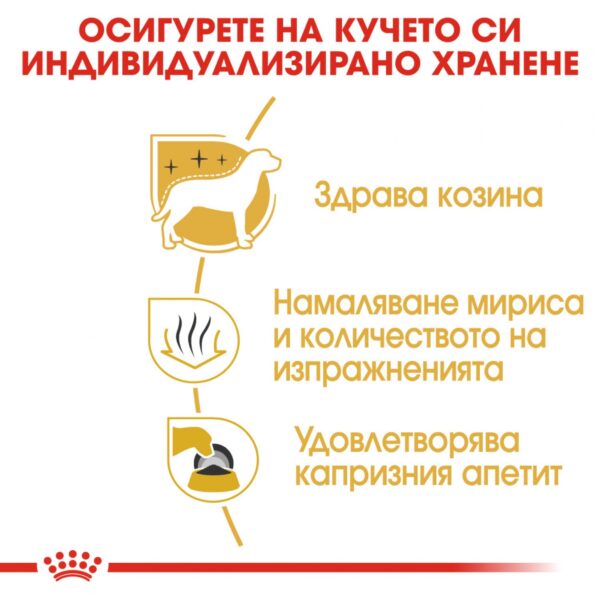 Royal Canin-  MALTESE ADULT храна за малтийски болонки 1,5кг - Image 3