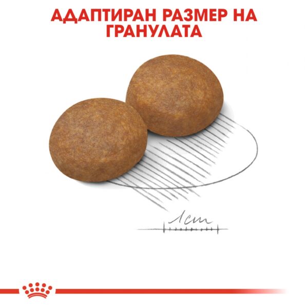 Royal Canin- MAXI ADULT 5+ за кучета от едрите породи над 5г 15кг - Image 2