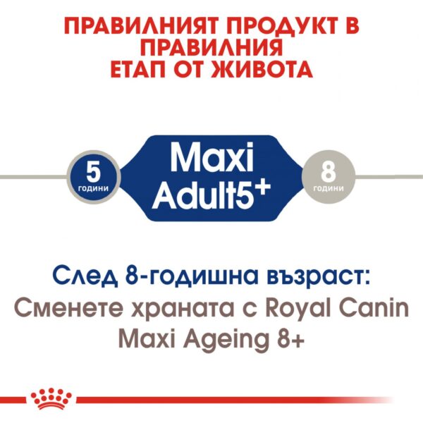 Royal Canin- MAXI ADULT 5+ за кучета от едрите породи над 5г 15кг - Image 5