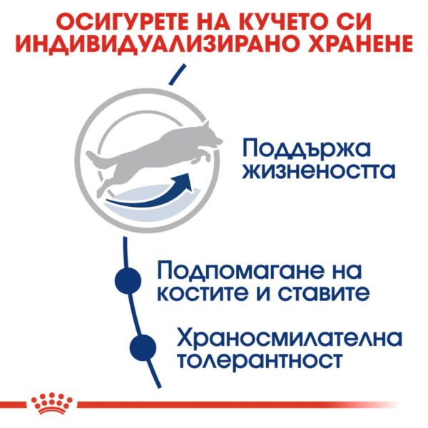 Royal Canin- MAXI ADULT 5+ за кучета от едрите породи над 5г 15кг - Image 3