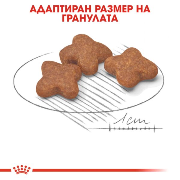 Royal Canin- MINI ADULT 8+ храна за кучета над 8г от дребите породи - Image 2