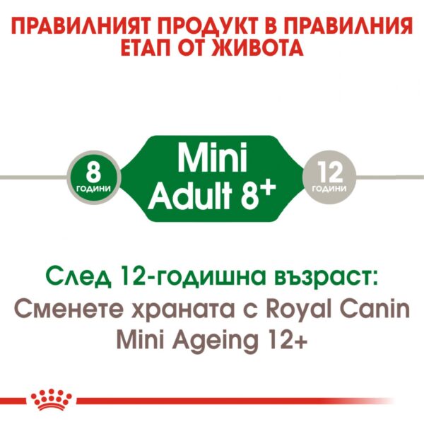 Royal Canin- MINI ADULT 8+ храна за кучета над 8г от дребите породи - Image 6