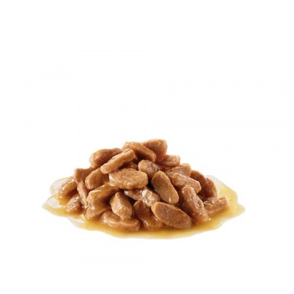 Royal Canin- Mini Adult Pouch за кучета в зряла възраст от дребните породи 85гр - Image 2