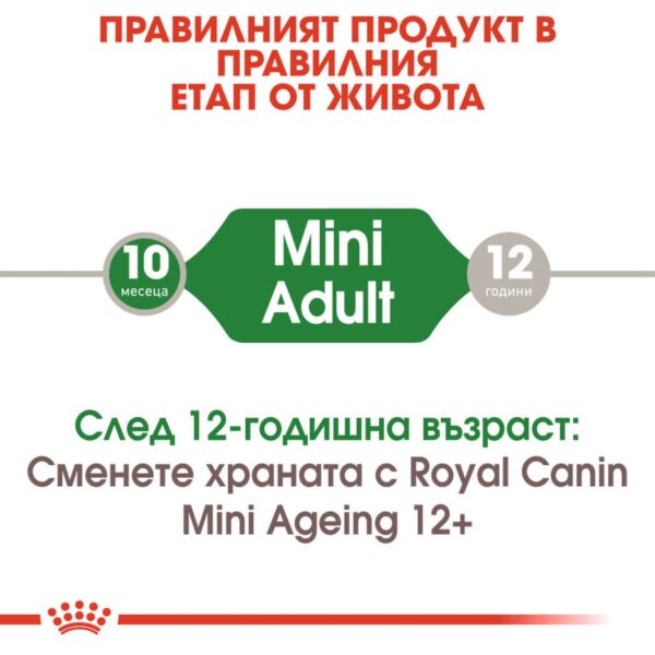 Royal Canin- Mini Adult Pouch за кучета в зряла възраст от дребните породи 85гр - Image 3