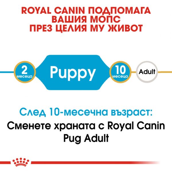 Royal Canin- PUG PUPPY суха храна за МОПС от 2 до 10 месеца 1.5кг - Image 3