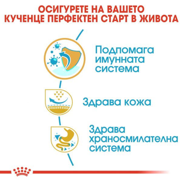Royal Canin- PUG PUPPY суха храна за МОПС от 2 до 10 месеца 1.5кг - Image 4
