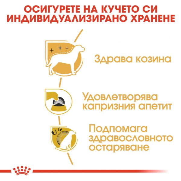Royal Canin- YORKSHIRE ADULT за ЙОРКШИРСКИ териер 500гр - Image 3
