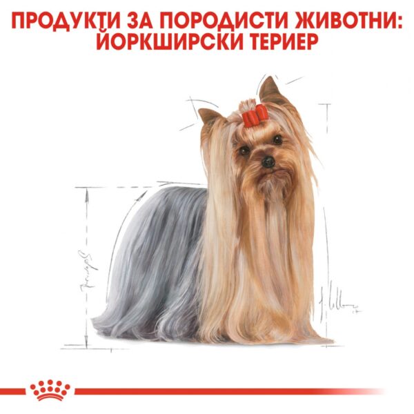 Royal Canin- YORKSHIRE ADULT за ЙОРКШИРСКИ териер 500гр - Image 6