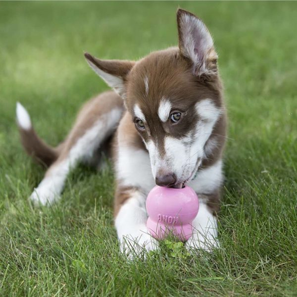 KONG® STUFF&PASTE PUPPY TREAT 226 гр - Image 3