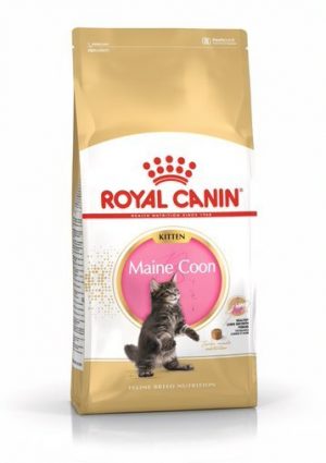 Royal Canin- MAINE COON KITTEN KITTEN- 2 кг