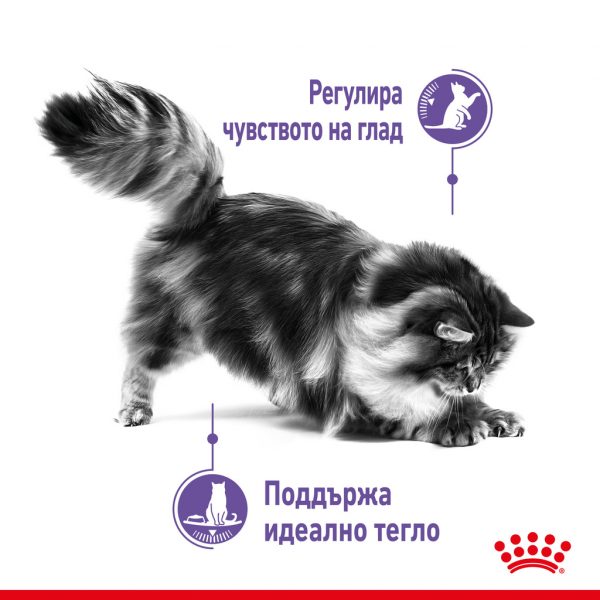 Royal Canin - Care APPETITE CONTROL в сос 85гр балансирана мокра храна в пауч за котки в зряла възраст