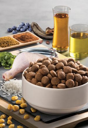 BonaCibo Adult Energy, за активни кучета 15кг