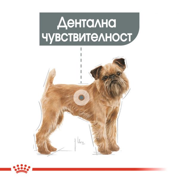 Royal Canin - MINI DENTAL CARE , за кучета от дребните породи с чувствителни зъби