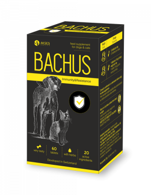 Bachus добавка за имунитет и устойчивост 60 табл