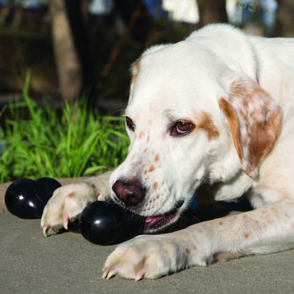 KONG® Extreme Goodie Bone™ Черен кокал L