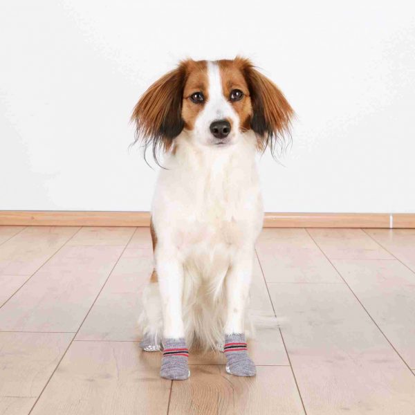 Trixie Чорапи за куче сиви 2 бр