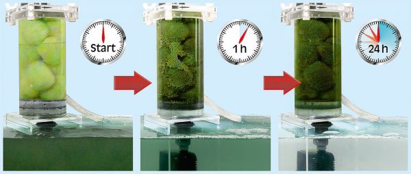 Sera crystal clear Professional за кристално прозрачна вода - Image 3