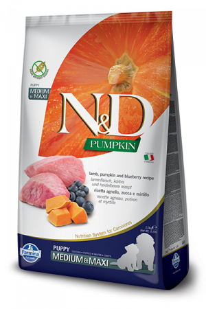 N&D Pumpkin Lamb & Blueberry MED&MAXI 12кг., за бебета от средни и едри породи с агне