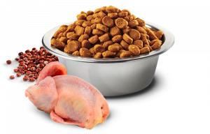 N&D QUINOA SKIN &COAT - храна без зърно за кучета над 1г с пъдпъдък, за здрава кожа и козина