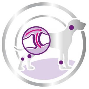 Royal Canin- GIANT ADULT храна за кучета над 18/24 месеца 15кг