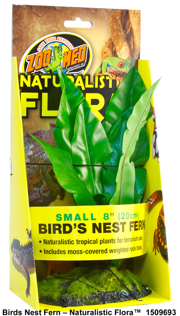 Zoo Med Bird Nest Fern Реалистични изкуствени растения за терариум