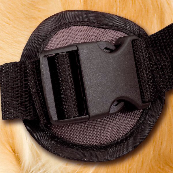 Dog Scout раница за средни и едри породи кучета - Image 5