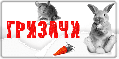 всичко за гризачи