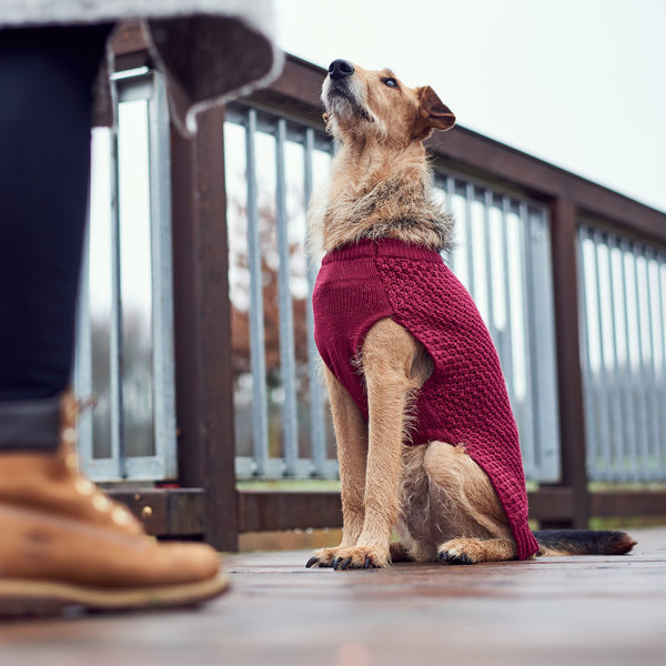Пуловер за кучета Malmö в 4 цвята