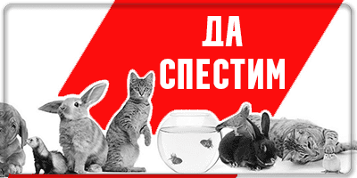 промоция зоомагазин