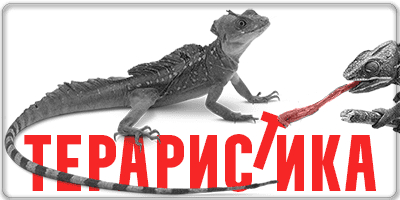 влечуги