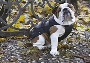 Croci JACKET BULLDOG - Ватирано яке за куче