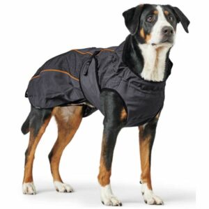 Hunter Coat Uppsala Thermo- Палто за кучета
