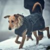 Hunter Coat Uppsala Softshell-Топло поларено палто за куче - Image 5