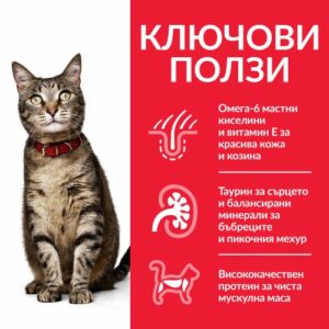 HILL`S SP Adult Chicken - Храна за котки от 1 до 6 години с ПИЛЕ