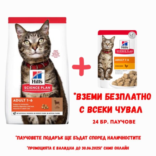 HILL`S Feline Adult Lamb & Rice - Храна за котки от 1 до 6 години с агнешко и ориз