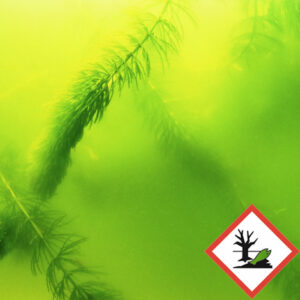 JBL AlgoPond GREEN- Премахва проблемите с позеленяването на езерна вода