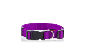 Pet Interest Dog Collar Plain - Регулируем нашийник за кучета ЛИЛАВ