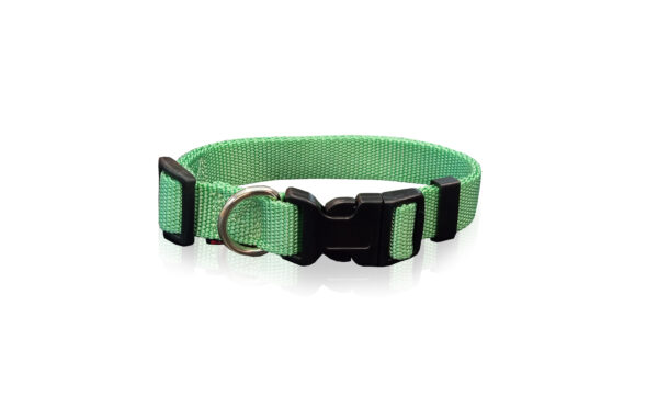 Pet Interest Dog Collar Plain - Регулируем нашийник за кучета МЕНТА