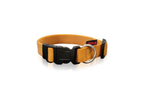 Pet Interest Dog Collar Plain - Регулируем нашийник за кучета ЗЛАТНО