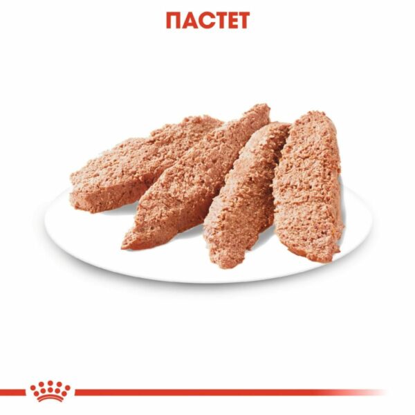 Royal Canin - DERMACOMFORT  LOAF  POUCH- мокра храна за кучета с кожни проблеми 85гр - Image 3