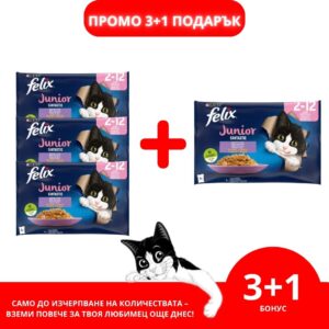 Purina Felix Fantastic Junior – Мокра храна пауч за малки котенца пиле в желе 4x85 г
