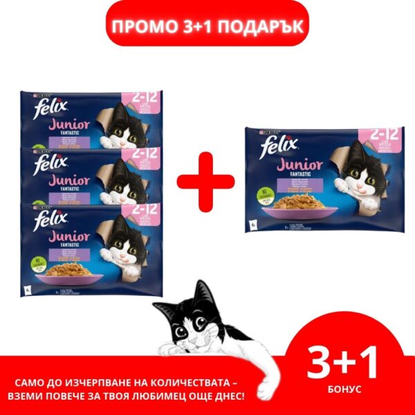 Purina Felix Fantastic Junior – Мокра храна пауч за малки котенца пиле в желе 4x85 г