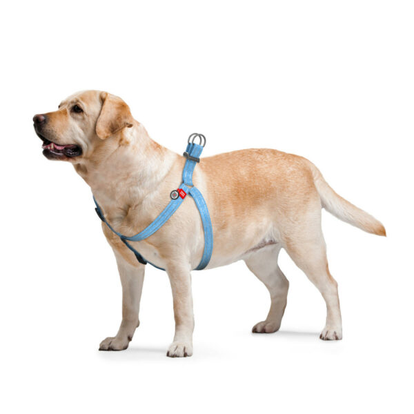 WAUDOG Re-cotton - ЕКО Памучен нагръдник за куче със SMART ID виртуален паспорт при изгубване СИН
