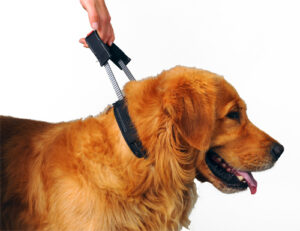 PatentoPet® - SPORT нашийник за голямо куче с интегриран къс повод/каишка