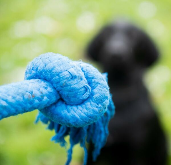 PLAYSCENT Неразрушима играчка - въже за куче с аромат и вкус