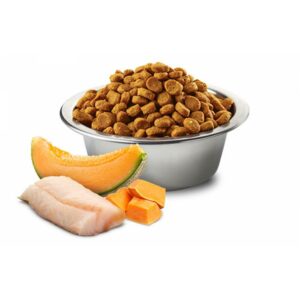 N&D Dog Ocean Puppy Medium&Maxi Cod Fish  - Суха храна БЕЗ ЗЪРНО за подрастващи кученца от средни и едри породи 10+2кг